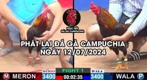 phát lại đá gà campuchia 12/07/2024