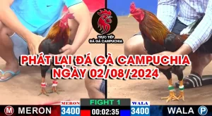 phát lại đá gà campuchia 02/08/2024