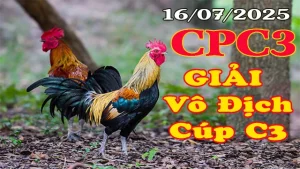 Gà đá giải campuchia hôm nay CPC3 16/07/2025 - Giải Vô Địch Cúp C3